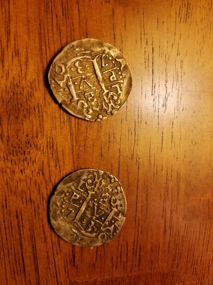 Can-Anyone-Help-Identify-These?