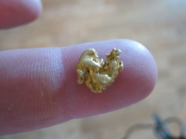 Gold-Nugget
