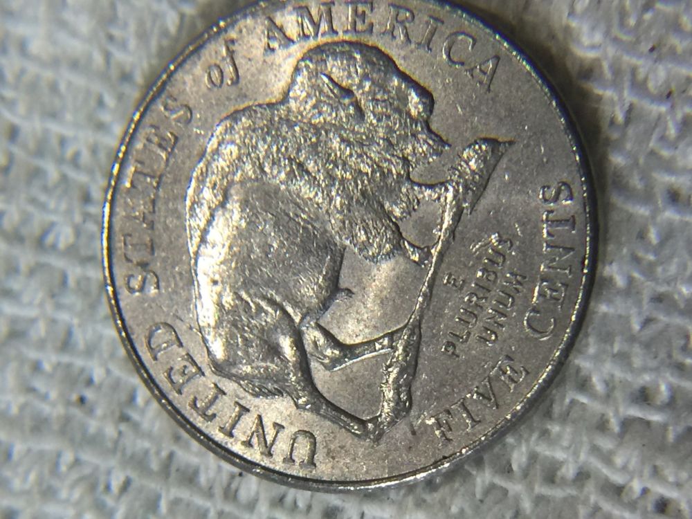 Another-Fiound-2005-Bufalo-Nickel