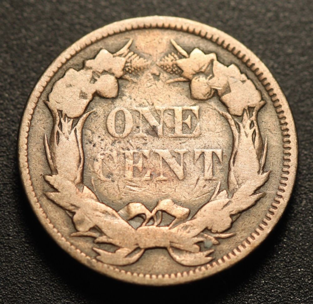 All-Members,-Post-Your-Most-Recent-US-Coin-Purchases!