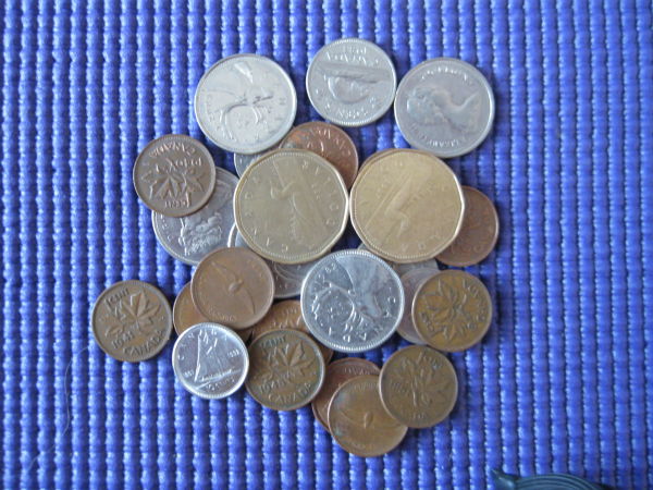 Adventures-In-Poundage-#1