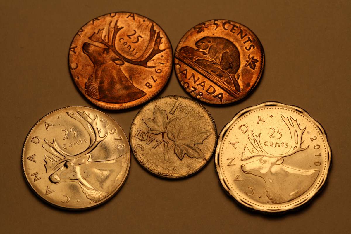 Days-Of-Error-Coins!