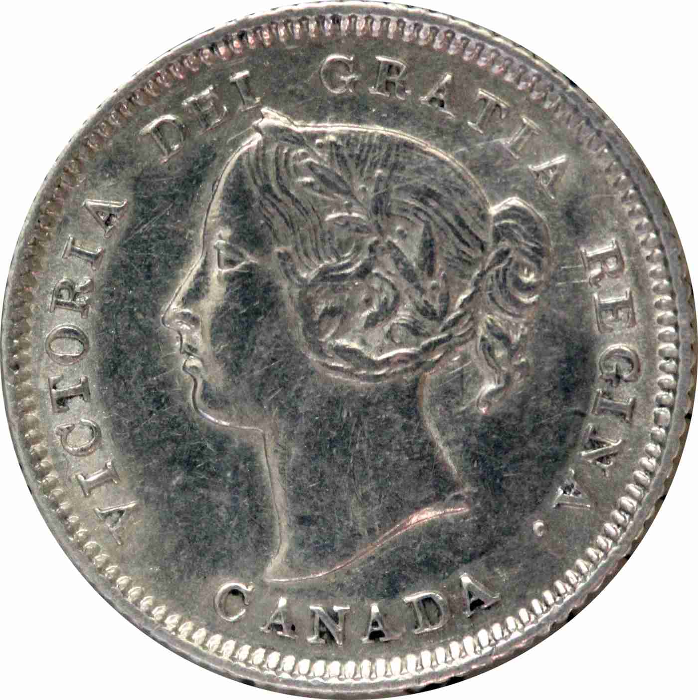 Coins-Back-From-ICCS