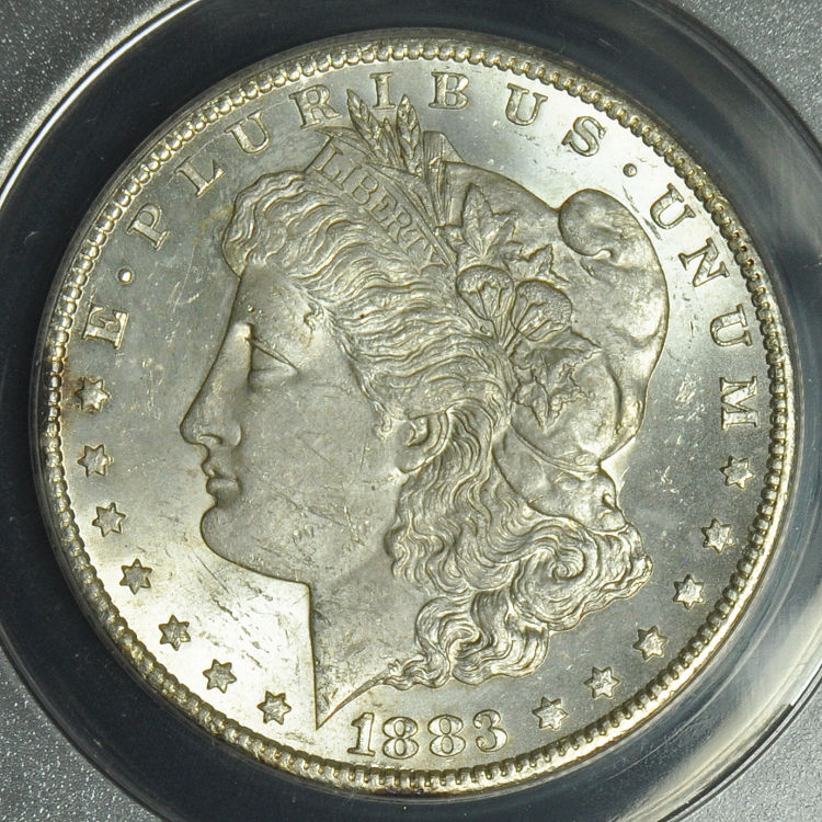 1883-CC-Morgan-For-Grading-Opinions