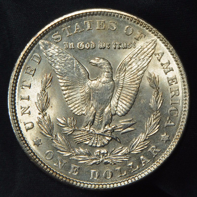 1903-P-Morgan-Raw-For-Grading