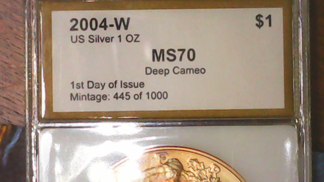 2004-W-American-Silver-Eagle---Beautiful-Rainbow-Toned--MS-70,-Would-You-Buy-Another?