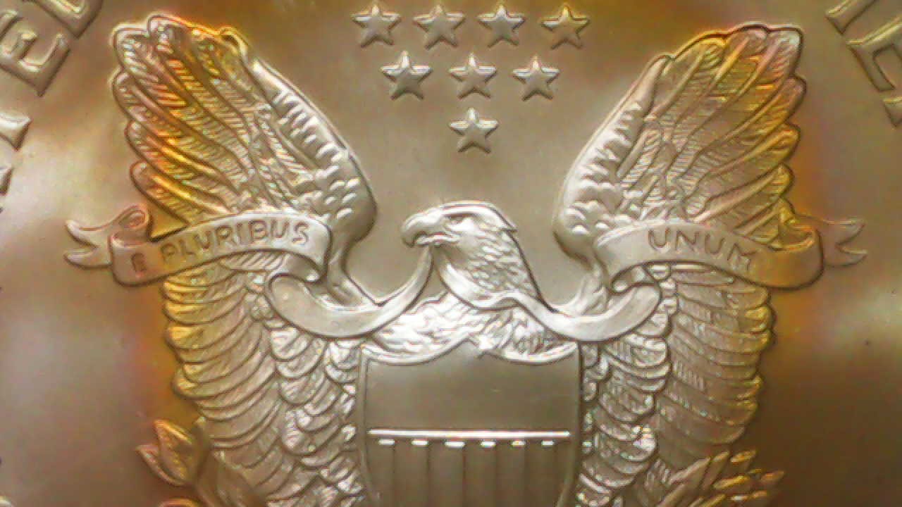 2004-W-American-Silver-Eagle---Beautiful-Rainbow-Toned--MS-70,-Would-You-Buy-Another?