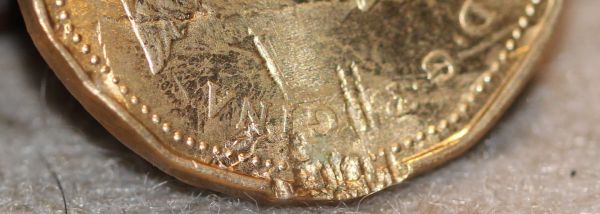 Loonie-Bin-Crushed?