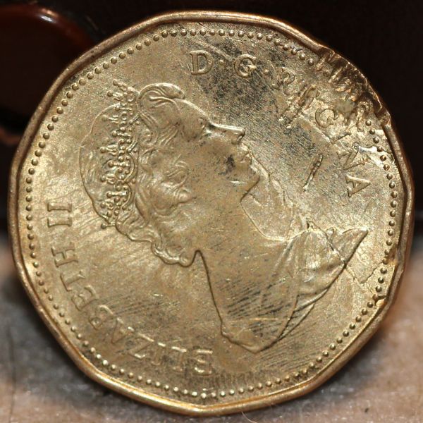 Loonie-Bin-Crushed?