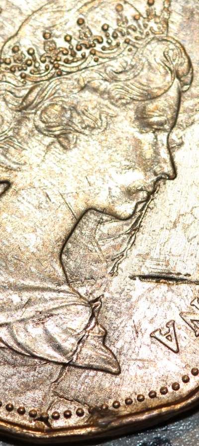 Loonie-Bin-Crushed?