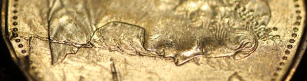 Loonie-Bin-Crushed?