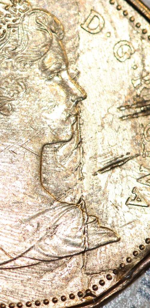 Loonie-Bin-Crushed?
