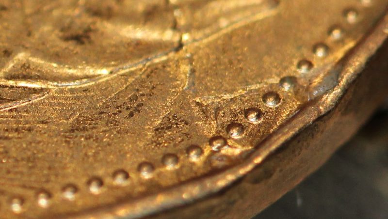 Loonie-Bin-Crushed?