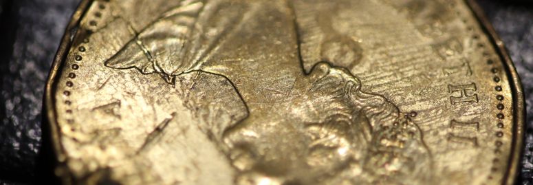 Loonie-Bin-Crushed?