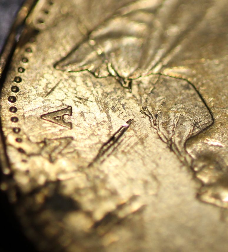 Loonie-Bin-Crushed?
