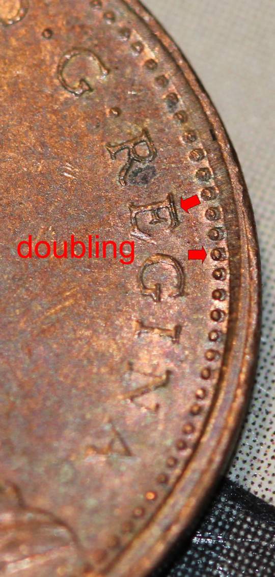 Denticles