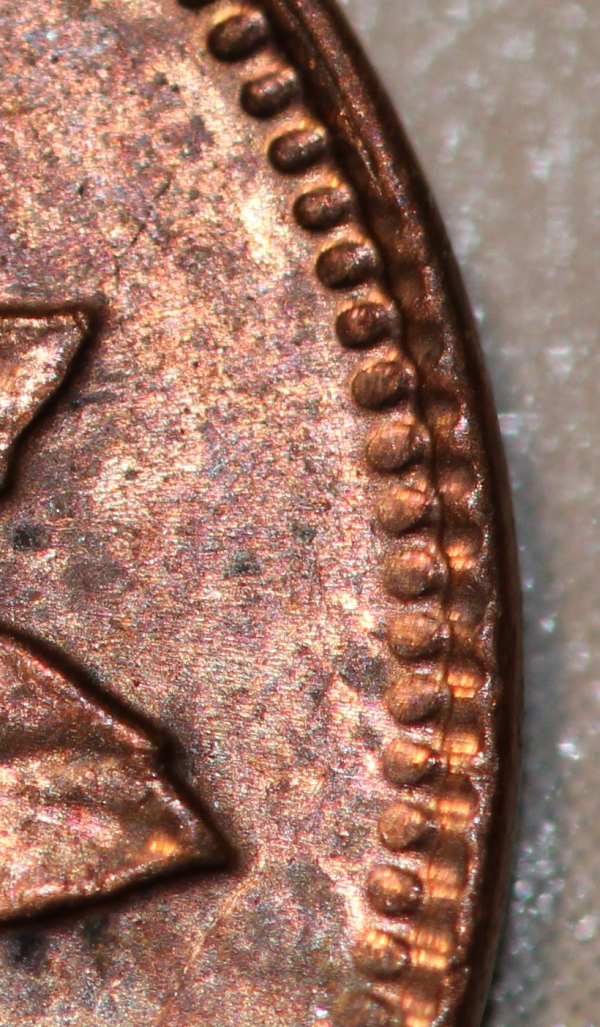 Denticles