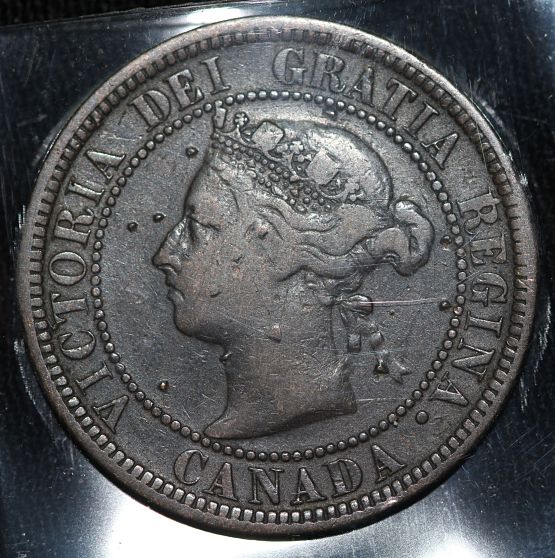 1882-H-Grade-Plz
