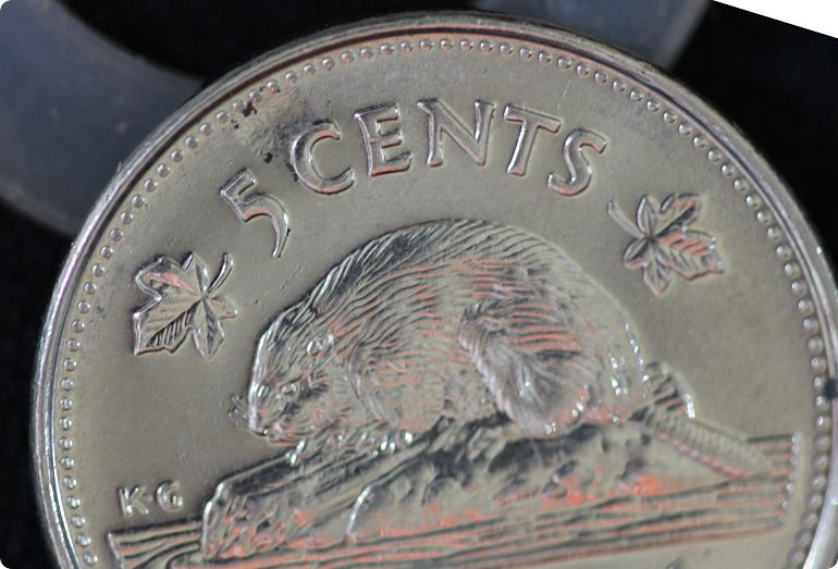 Die-Chip?-2006-5cents