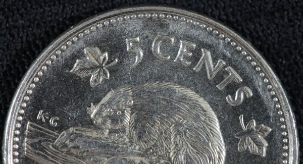 Die-Chip?-2006-5cents