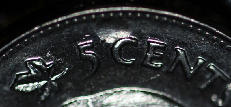 Die-Chip?-2006-5cents