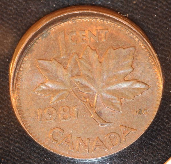 Grade-My-Coin-Please