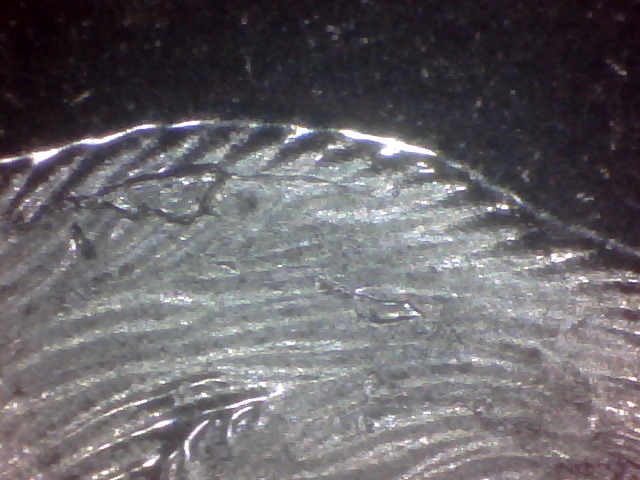Nickel-Errors-Galore