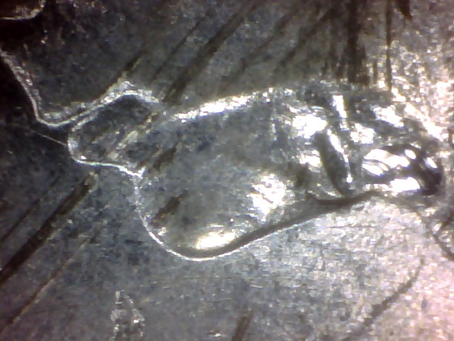 Nickel-Errors-Galore