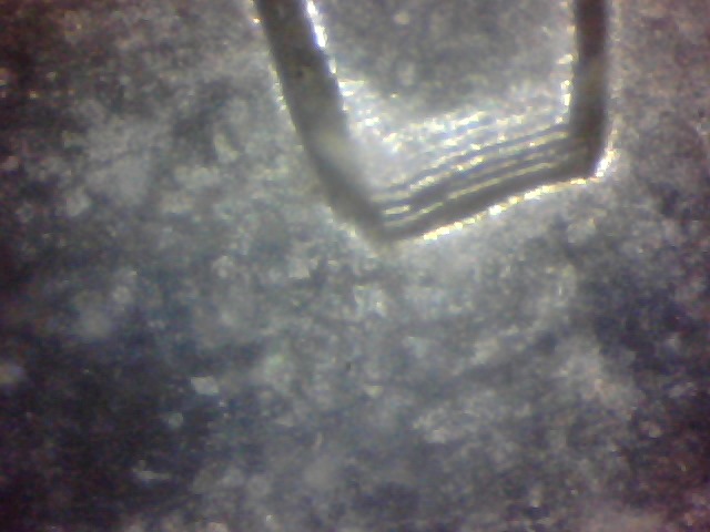 2008-5-Cent-Error