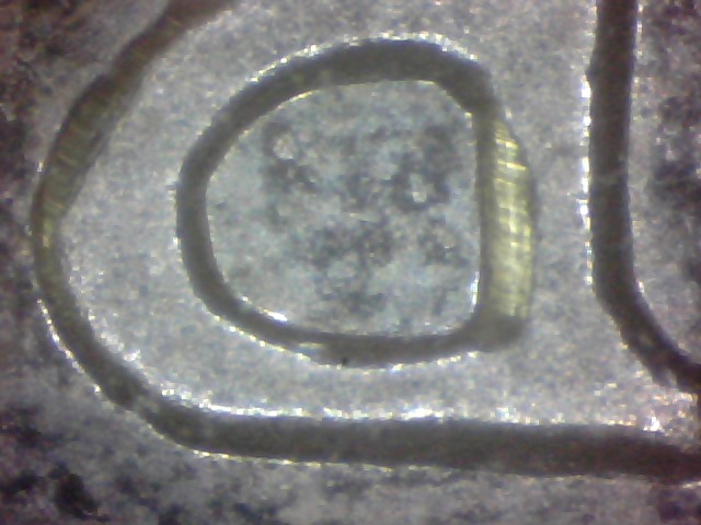 1970-PL-Nickel-Dollar-Doubling,-Possible-New-DDO,-Notched-A