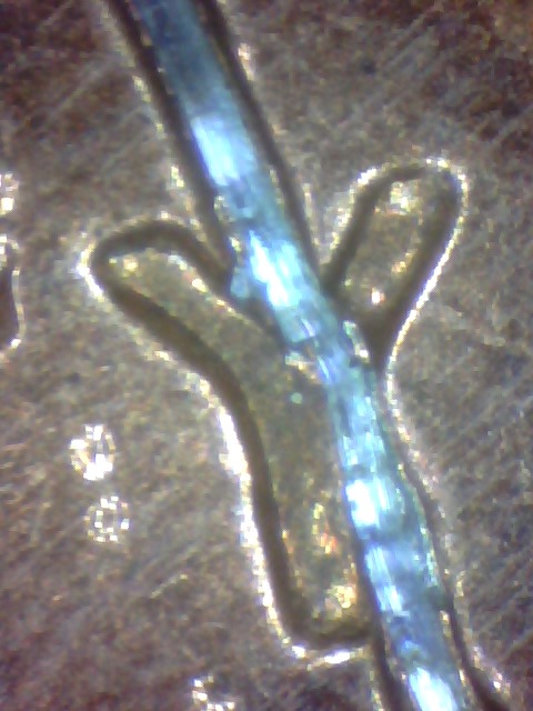 Odd-Scratch-Mark-On-96-Penny