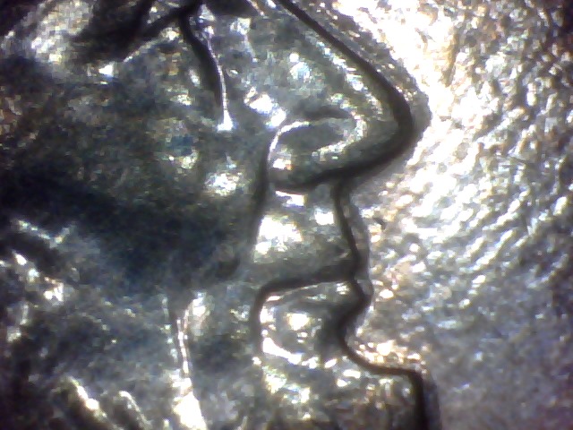 Odd-Scratch-Mark-On-96-Penny