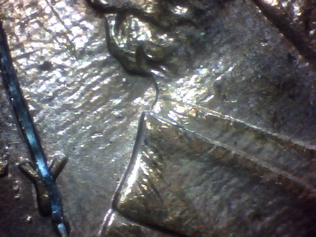Odd-Scratch-Mark-On-96-Penny