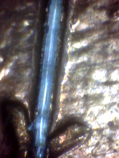 Odd-Scratch-Mark-On-96-Penny