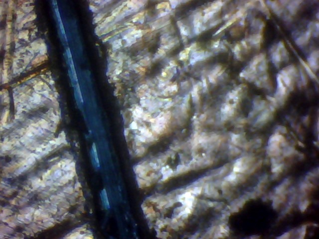 Odd-Scratch-Mark-On-96-Penny