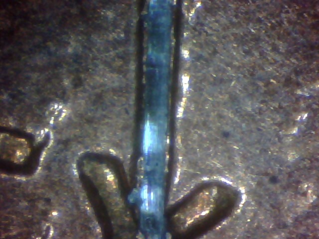 Odd-Scratch-Mark-On-96-Penny