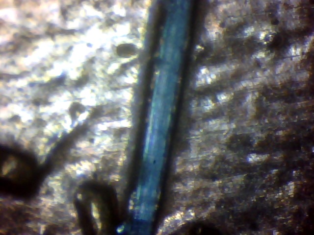 Odd-Scratch-Mark-On-96-Penny