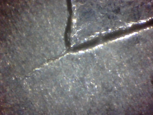 1981-Unknown-Error?