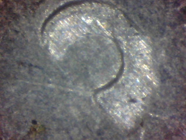 2013-Fort-Mchenry-Quarter-Error?