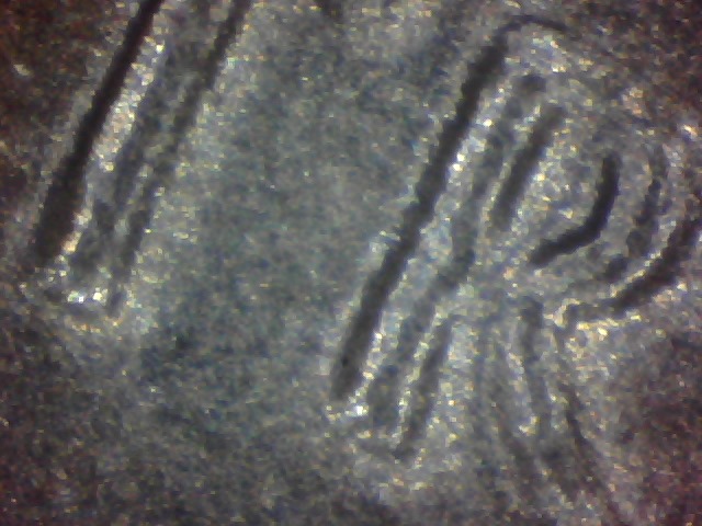 2013-Fort-Mchenry-Quarter-Error?