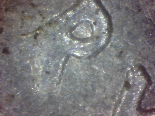 2013-Fort-Mchenry-Quarter-Error?