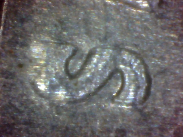 2013-Fort-Mchenry-Quarter-Error?