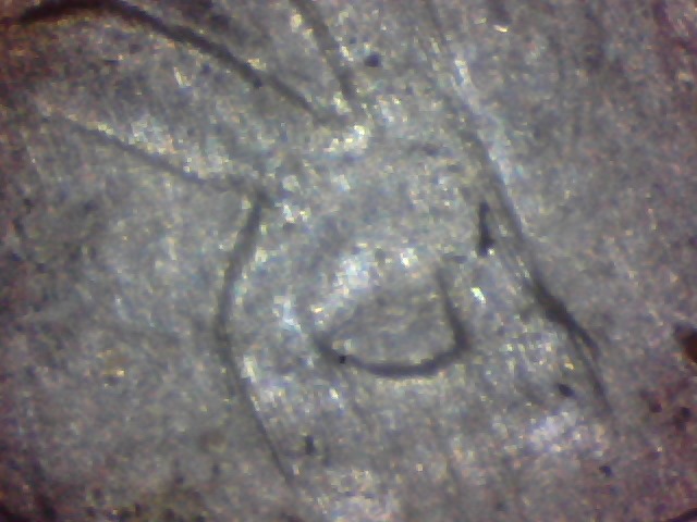2013-Fort-Mchenry-Quarter-Error?