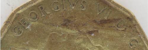 Nickel-Hunting-Suprise