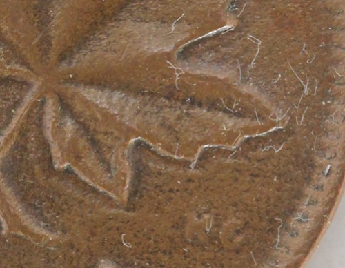 55-Penny-Wrinkled