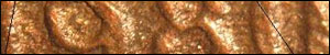 55-Penny-Wrinkled