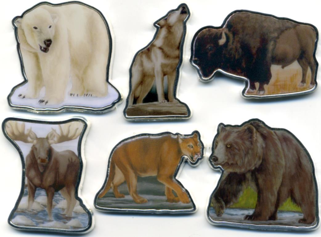 Odd-&-Unusual-Coins-Have-You-Ever-Seen-These?