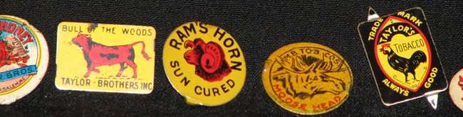 What-Else-Do-You-Collect?