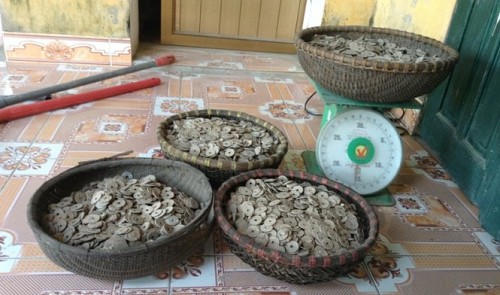 50kg-Of-Ancient-Coins-Uncovered-In-Northern-Vietnam