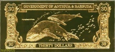 Odd-&-Unusual-Coins-Have-You-Ever-Seen-These?